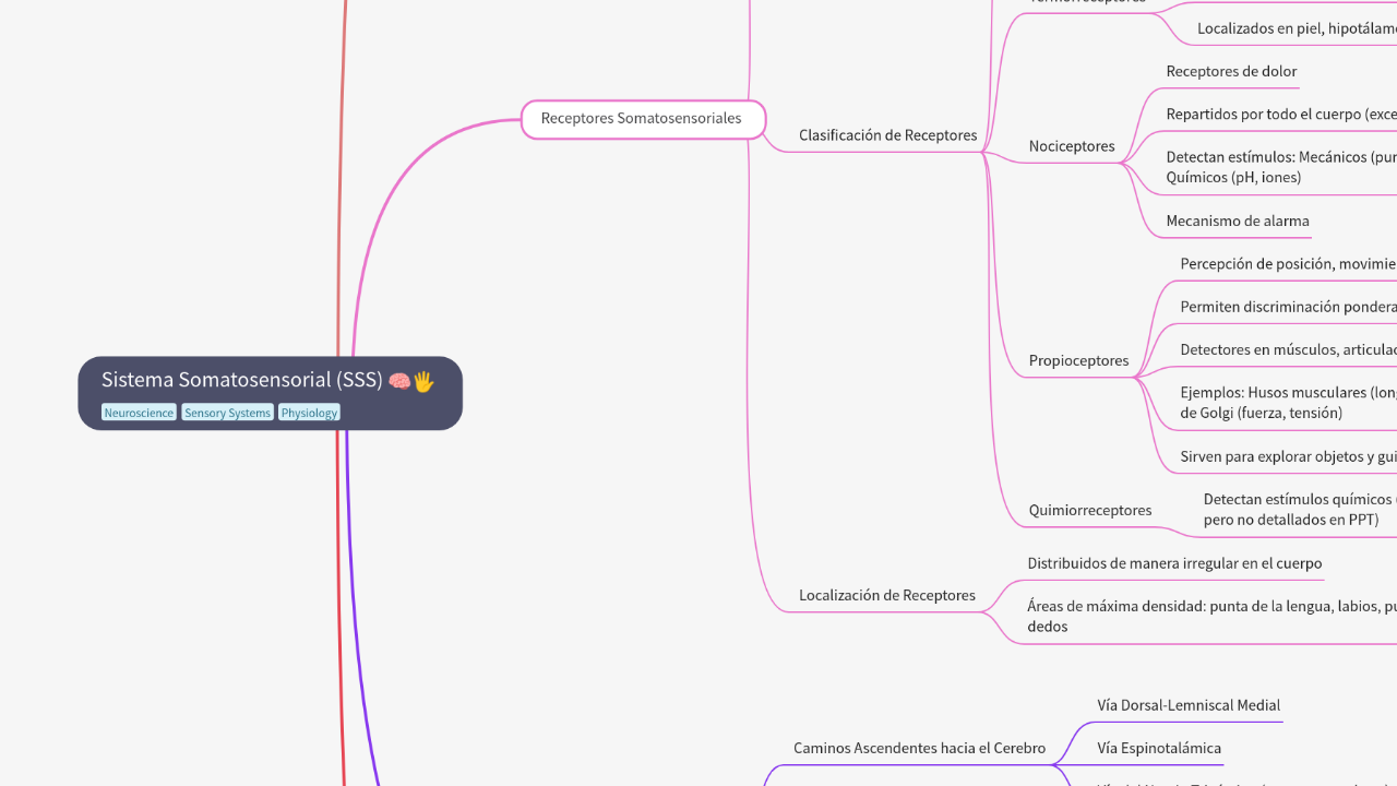 Sistema Somatosensorial (SSS)