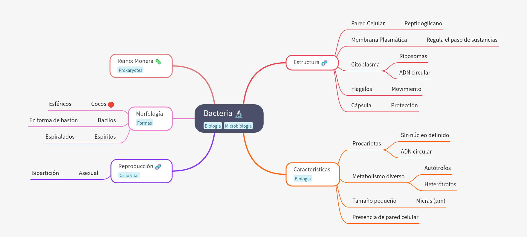 Understanding Bacteria: Structure, Forms, & Life