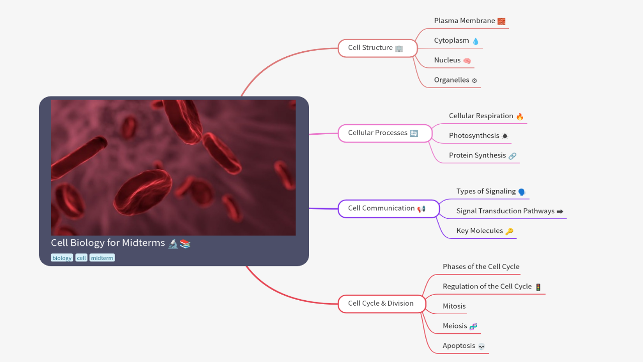 Mind Map:Cell Biology for Midterms ...