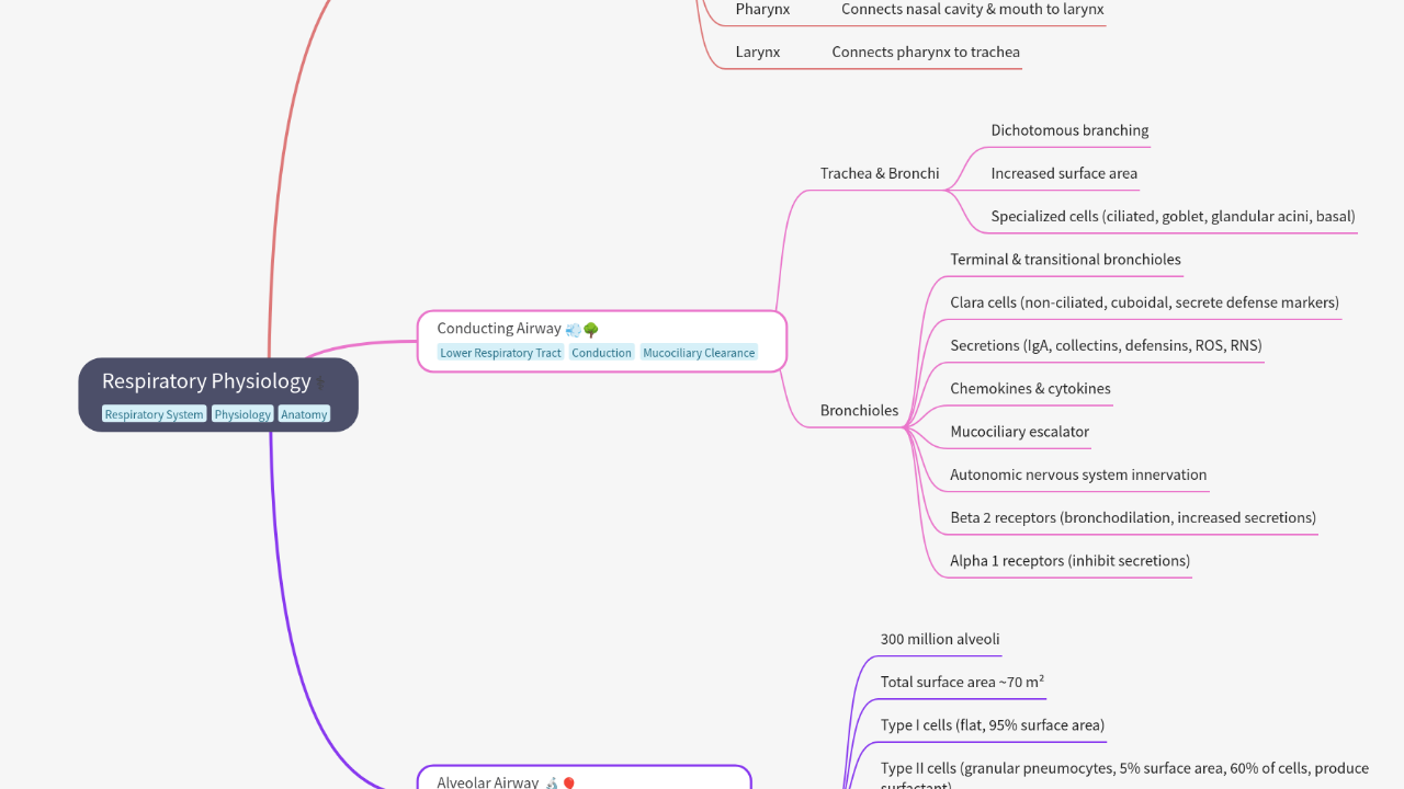 Mind Map:Respiratory Physiology ...
