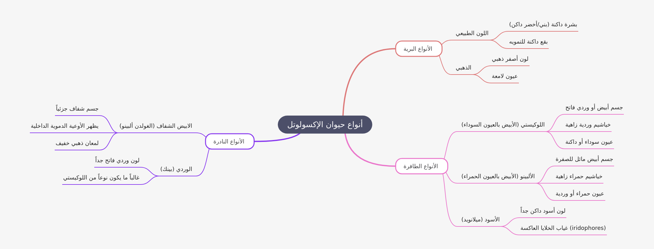 Types of Axolotl: A Comprehensive Guide to Their Varieties