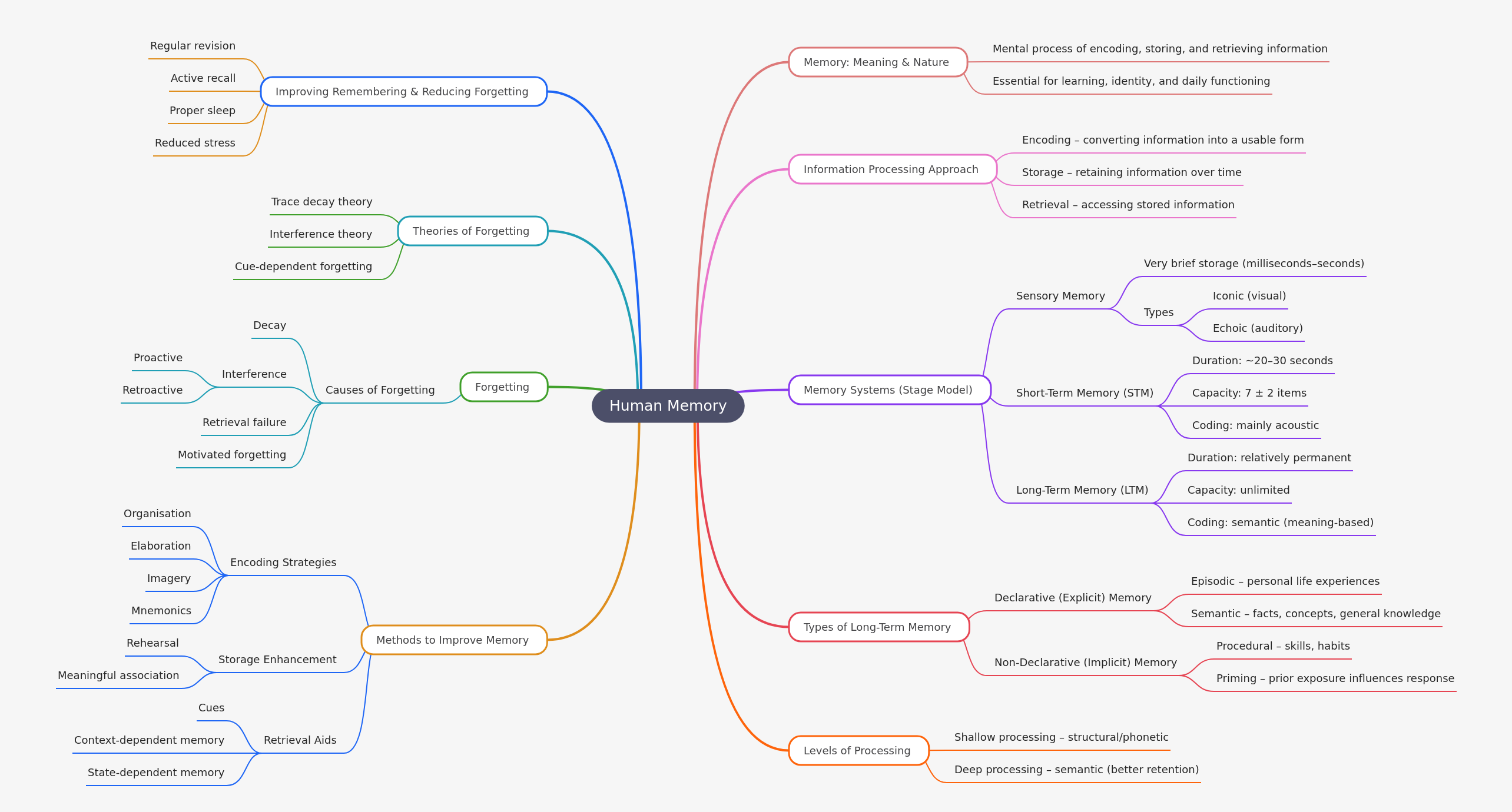 Understanding Human Memory: A Comprehensive Guide