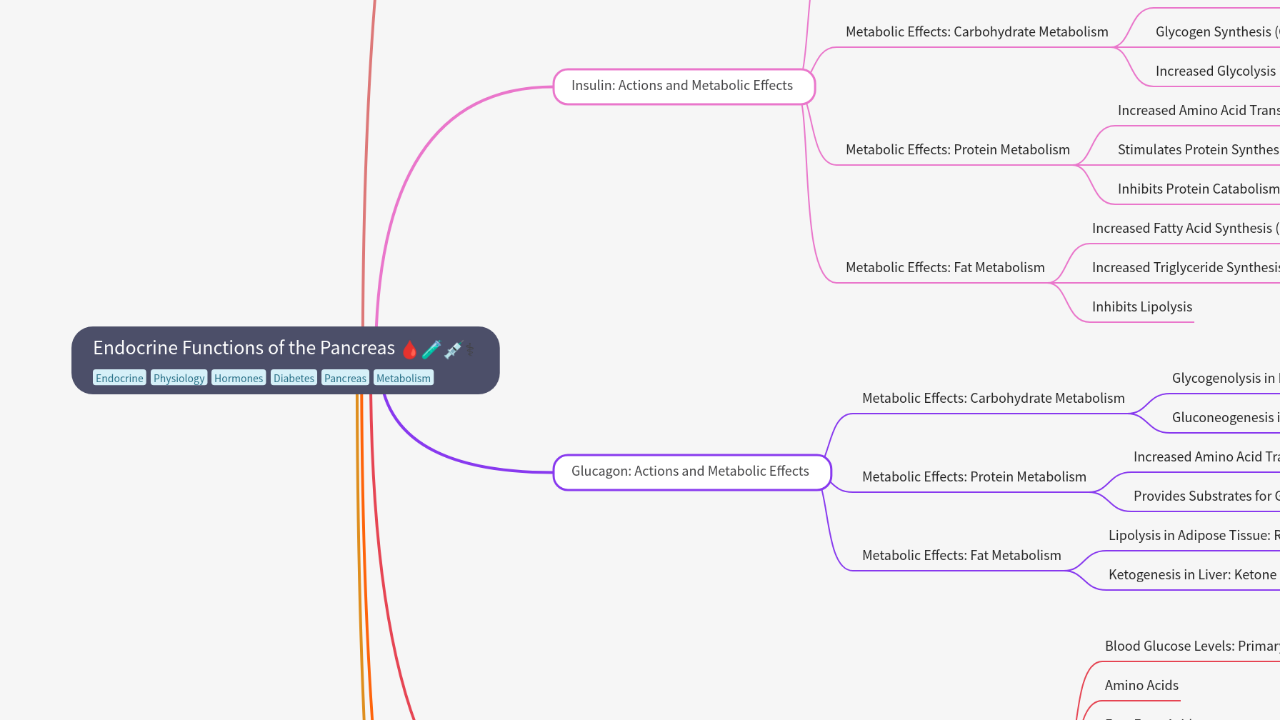 Mind Map:Endocrine Functions of the Pancreas ...