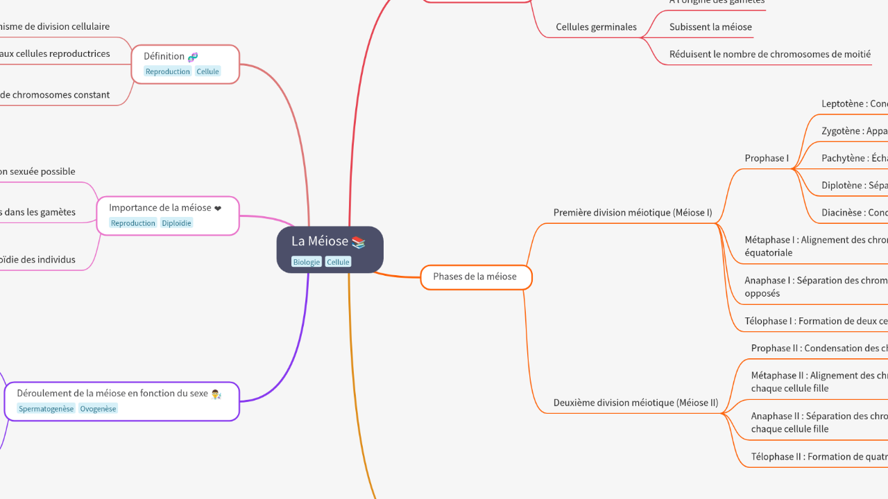 Mind Map:La Méiose ...