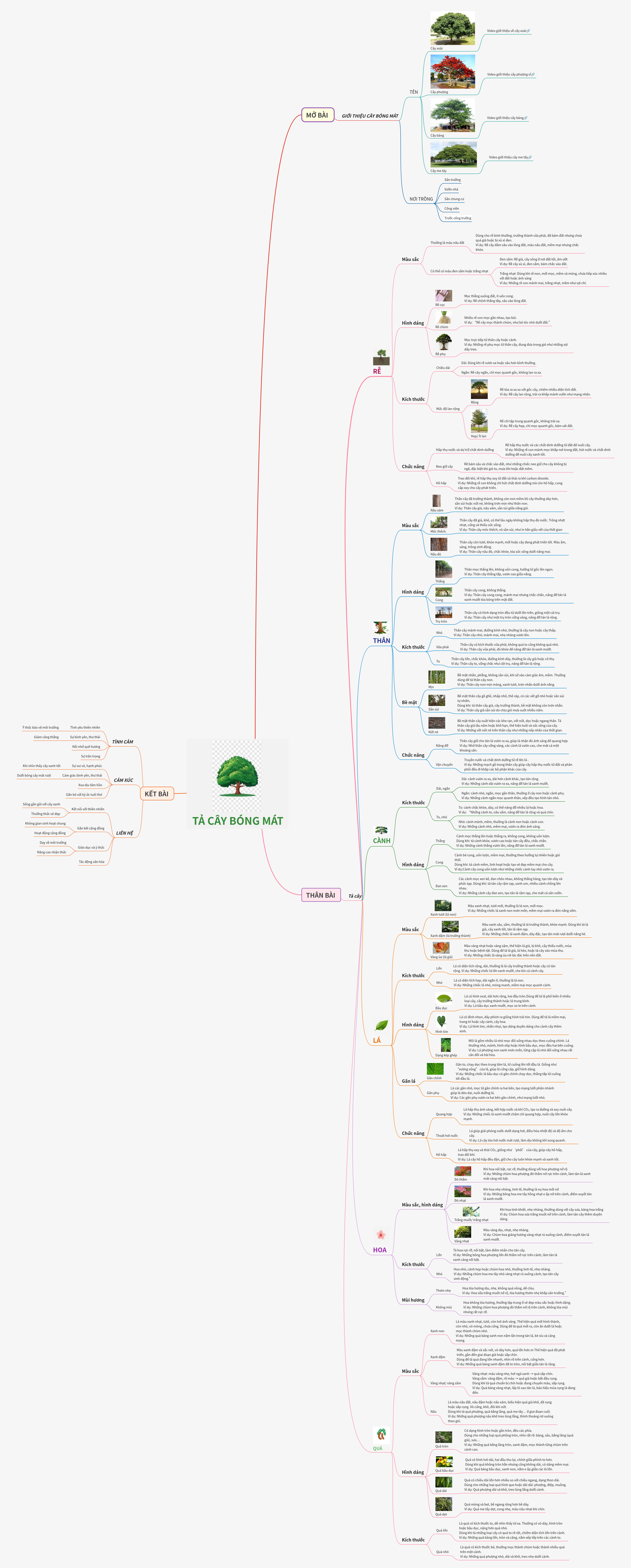 Describing Shade Trees: A Comprehensive Guide