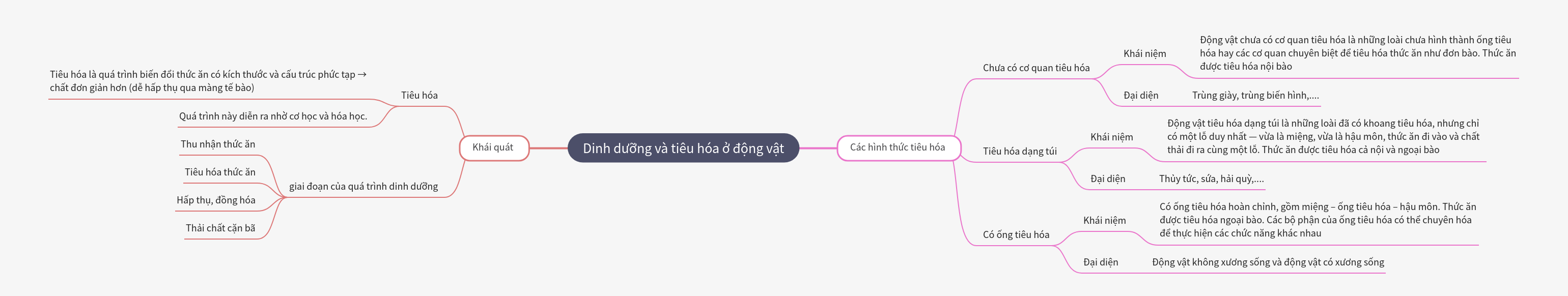 Nutrition and Digestion in Animals: Processes and Forms