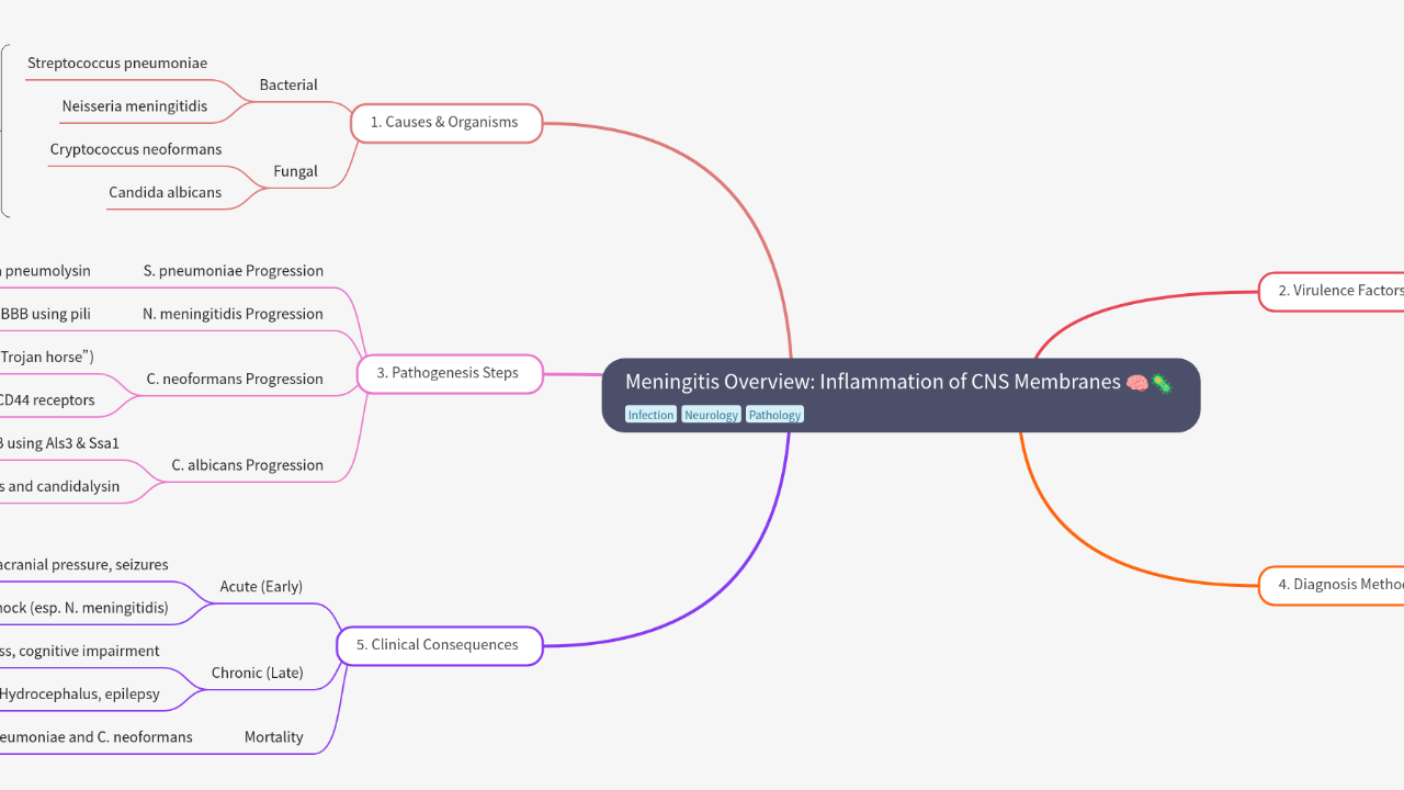 Mind Map:Meningitis Overview: Inflammation of CNS Membranes ...