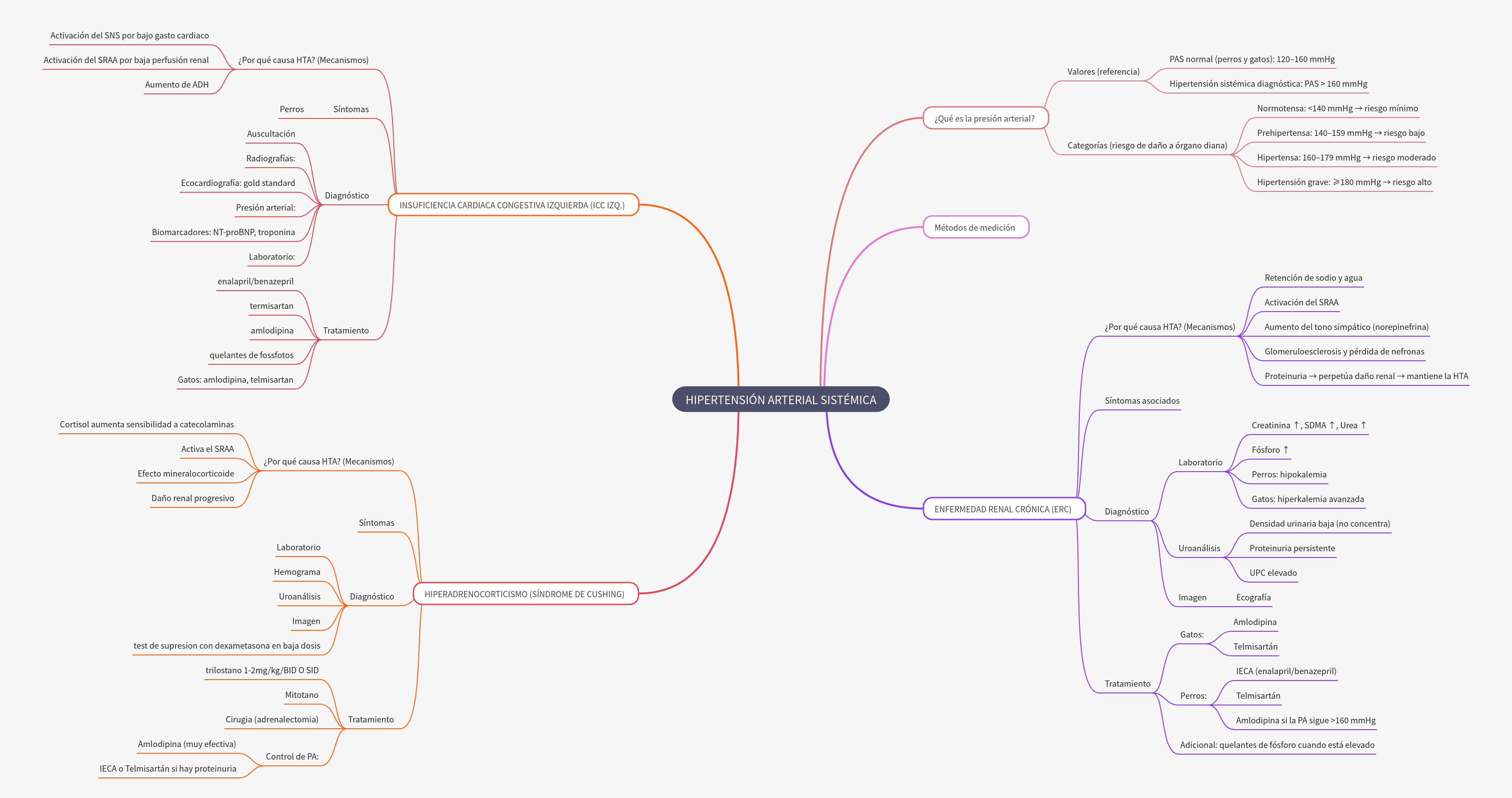 Systemic Arterial Hypertension: Causes, Diagnosis, Treatment