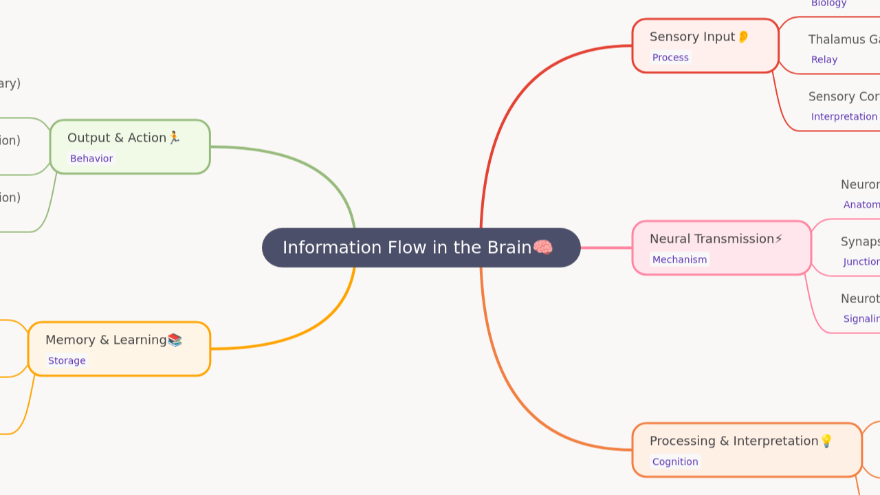 Information Flow in the Brain