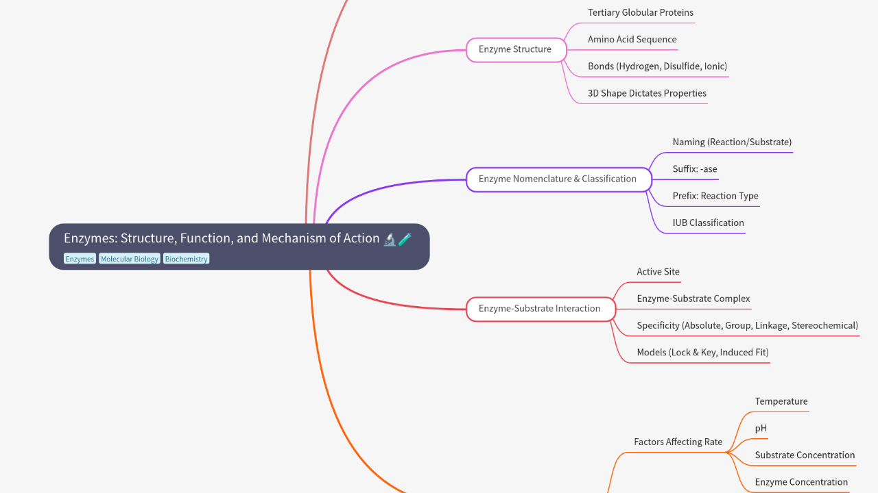 Mind Map:Enzymes: Structure, Function, and Mechanism of Action ...