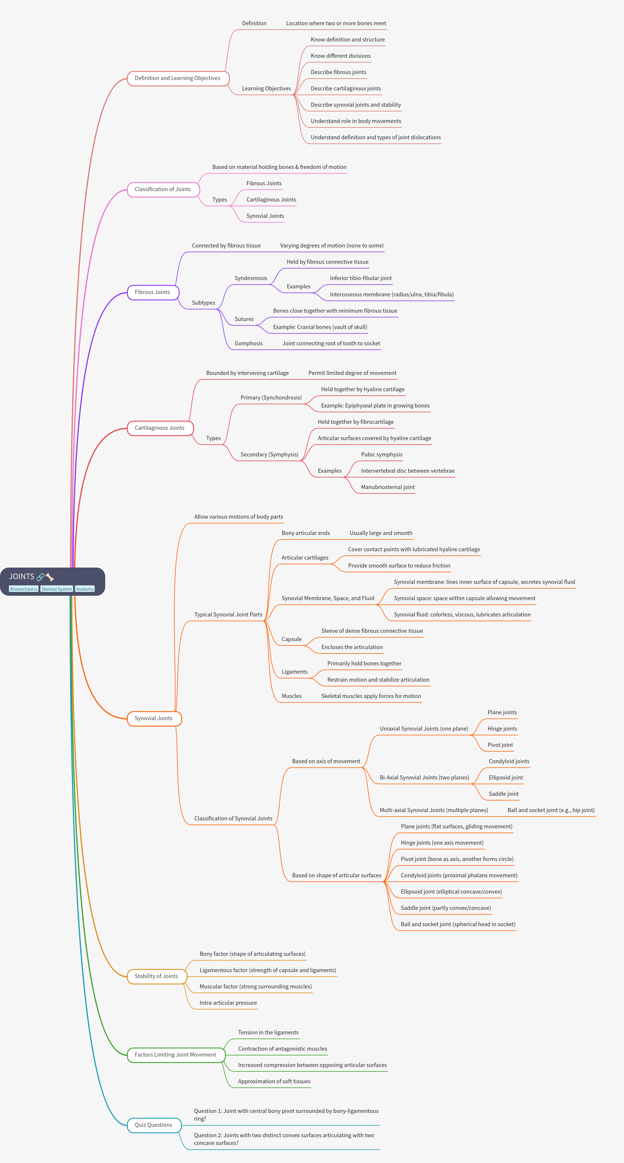 Comprehensive Guide to Human Body Joints