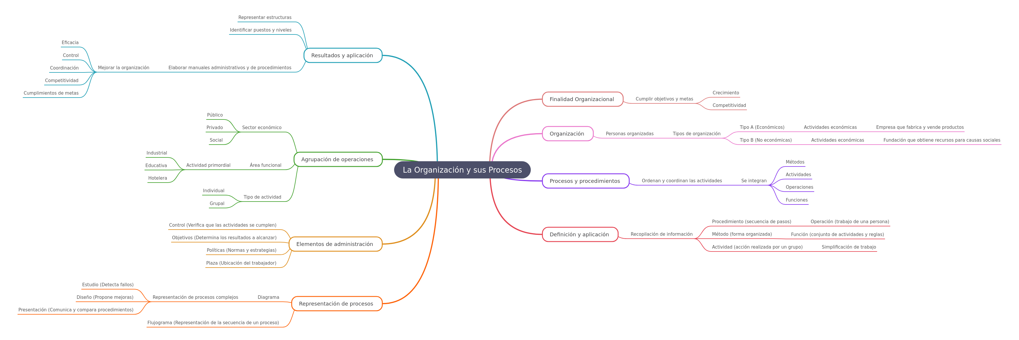 The Organization and Its Processes: A Comprehensive Guide