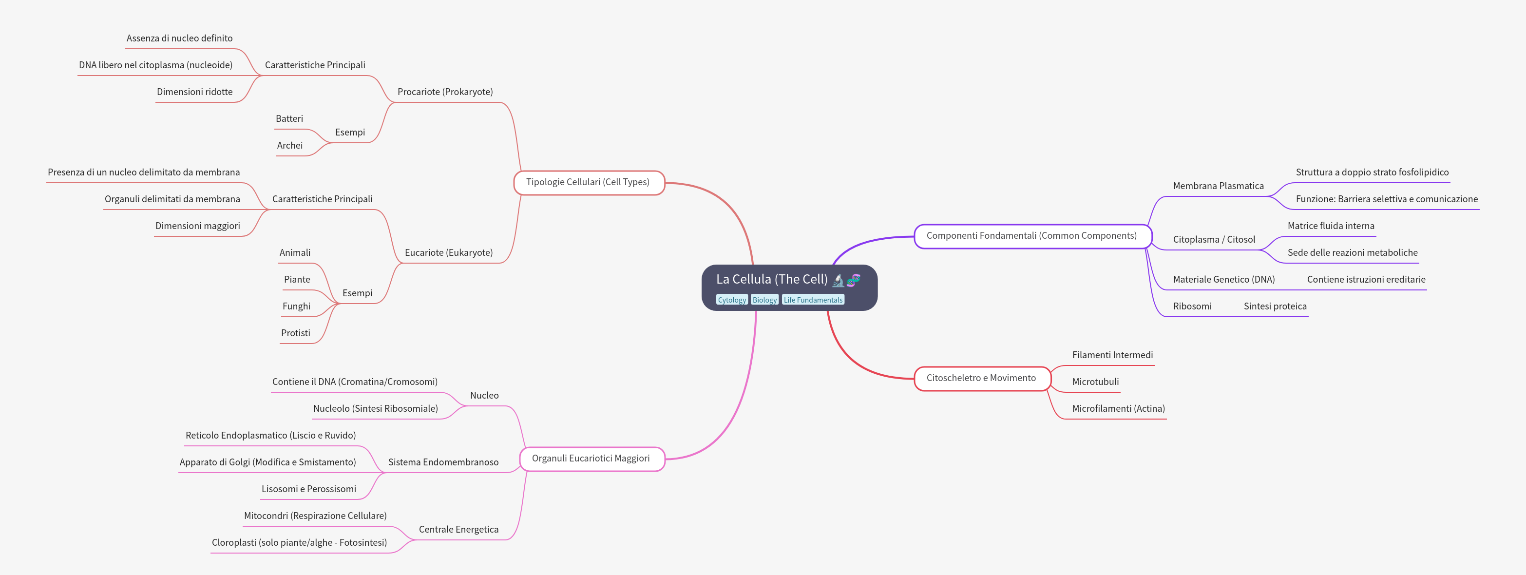 The Cell: Types, Components, and Organelles