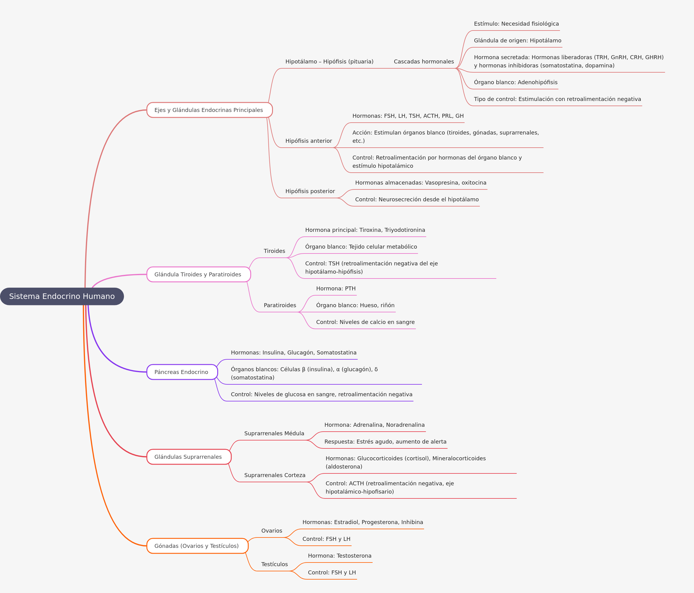 El Sistema Endocrino Humano: Glándulas y Hormonas