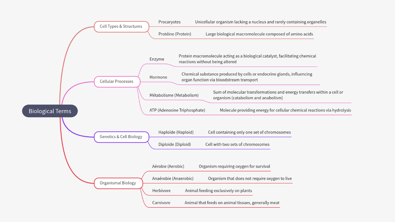 Mind Map:Biological Terms ...