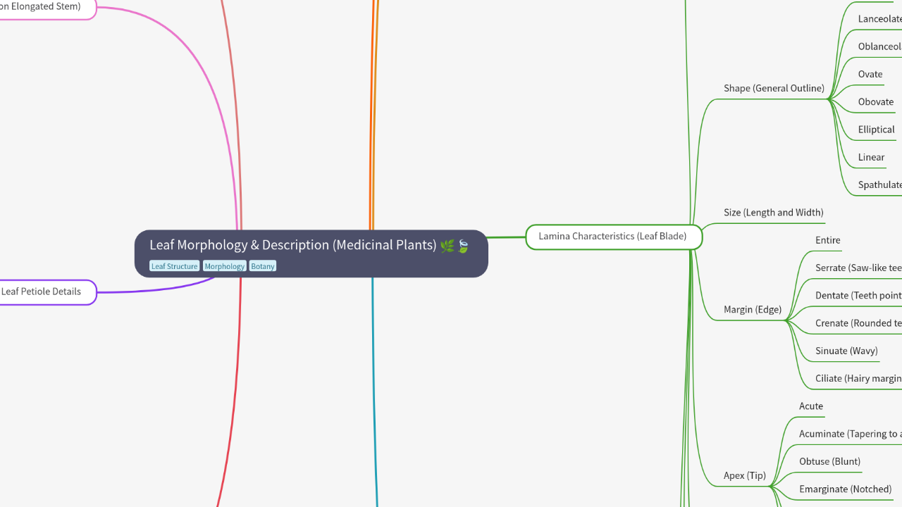 Mind Map:Leaf Morphology & Description (Medicinal Plants) ...