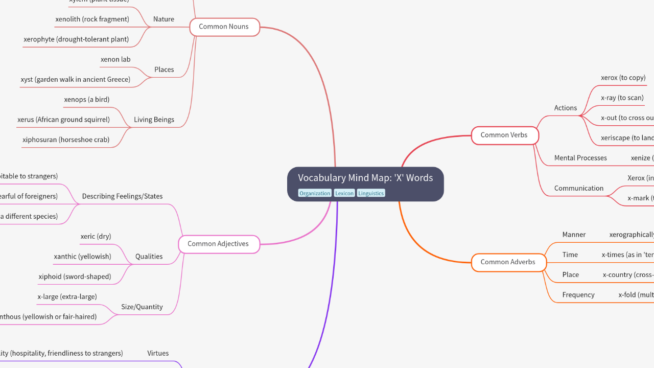 Vocabulary Mind Map: 'X' Words