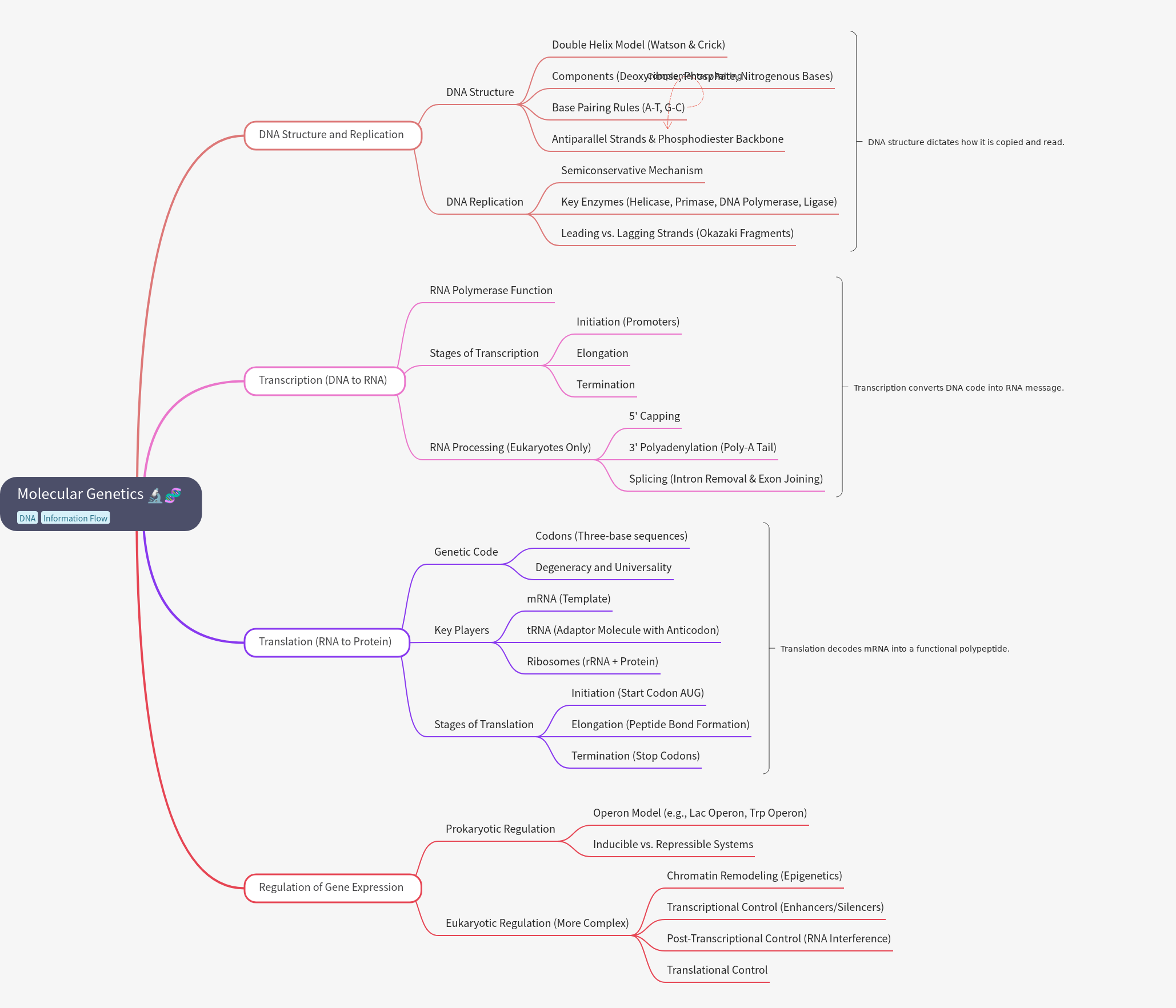 Molecular Genetics: DNA, RNA, and Gene Expression
