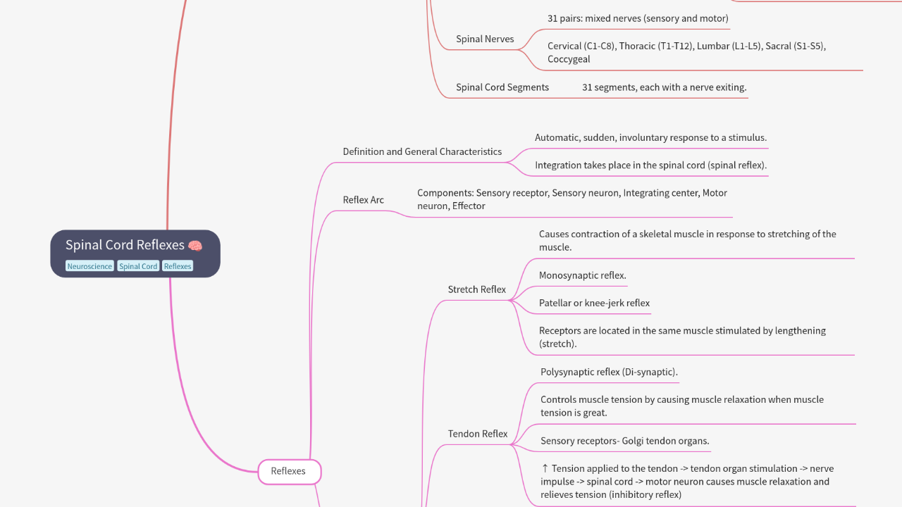 Mind Map:Spinal Cord Reflexes ...