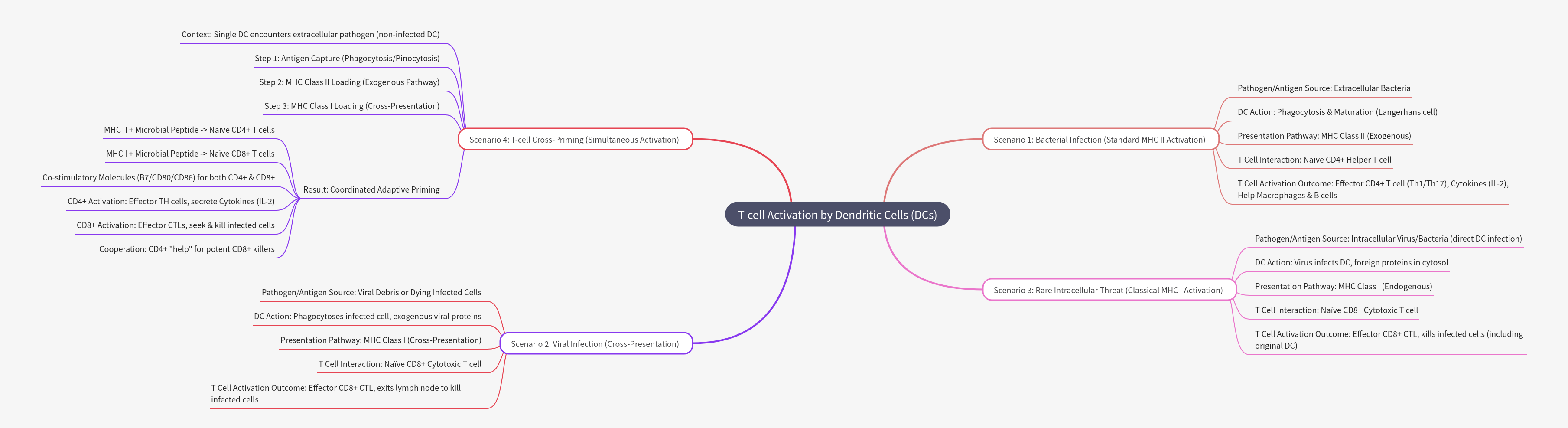 T-cell Activation by Dendritic Cells
