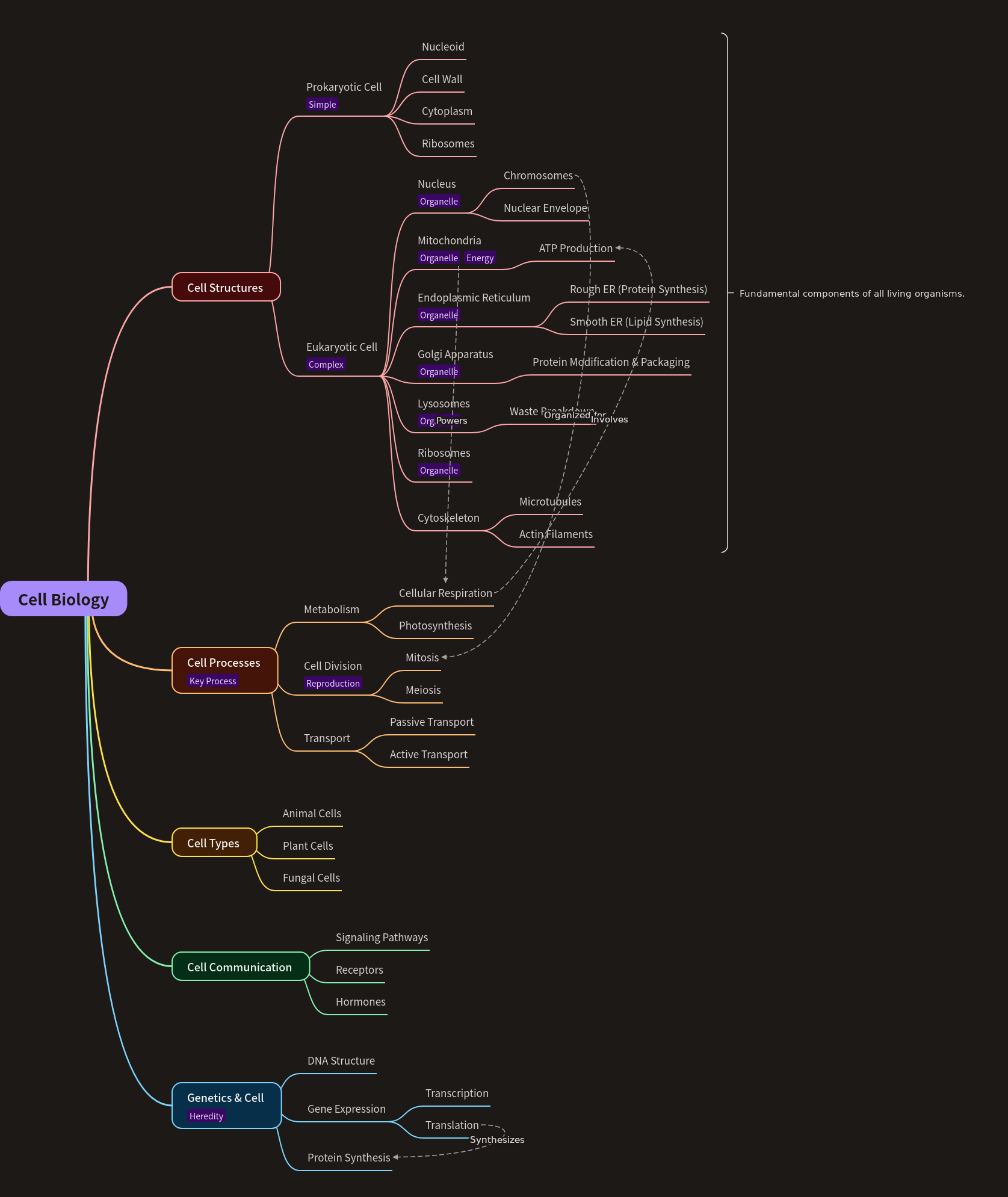 Understanding Cell Biology Fundamentals