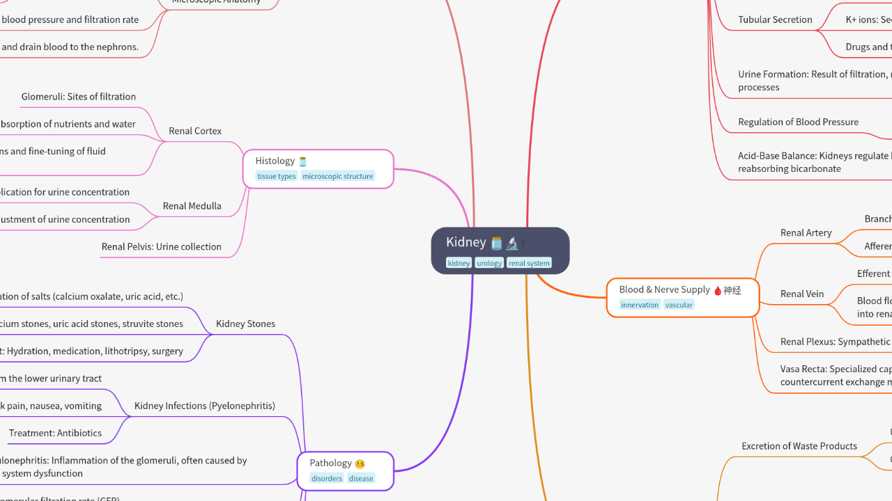 Mind Map:Kidney ...