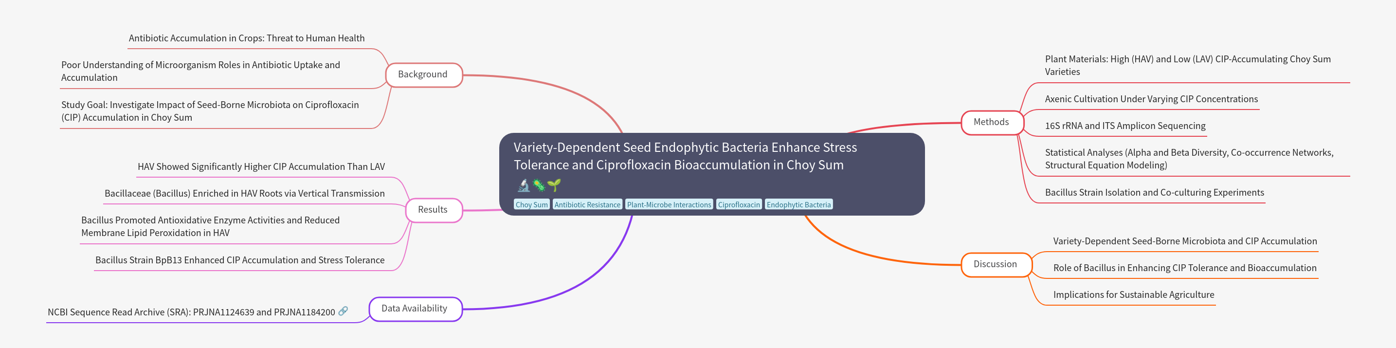 Seed Endophytes: Choy Sum Stress Tolerance & CIP Bioaccumulation