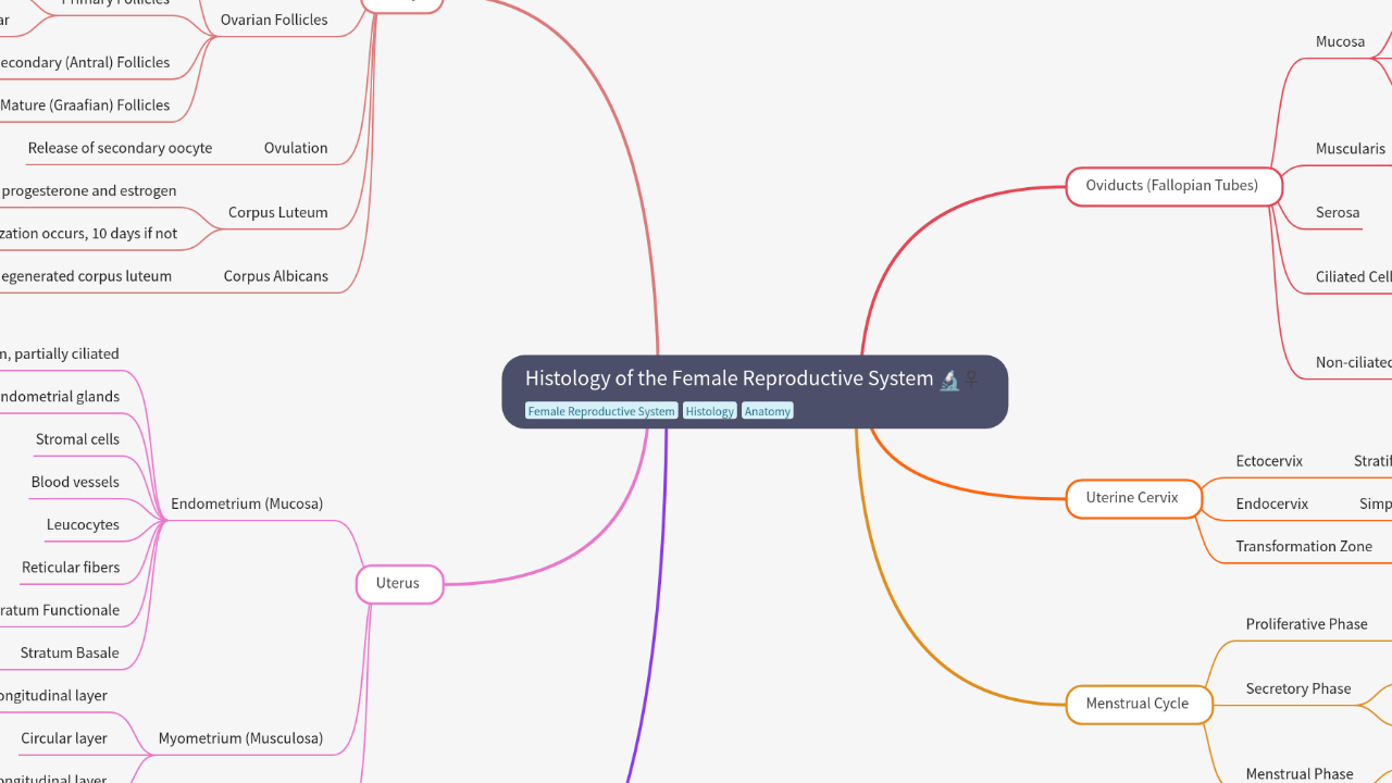 Mind Map:Histology of the Female Reproductive System ...