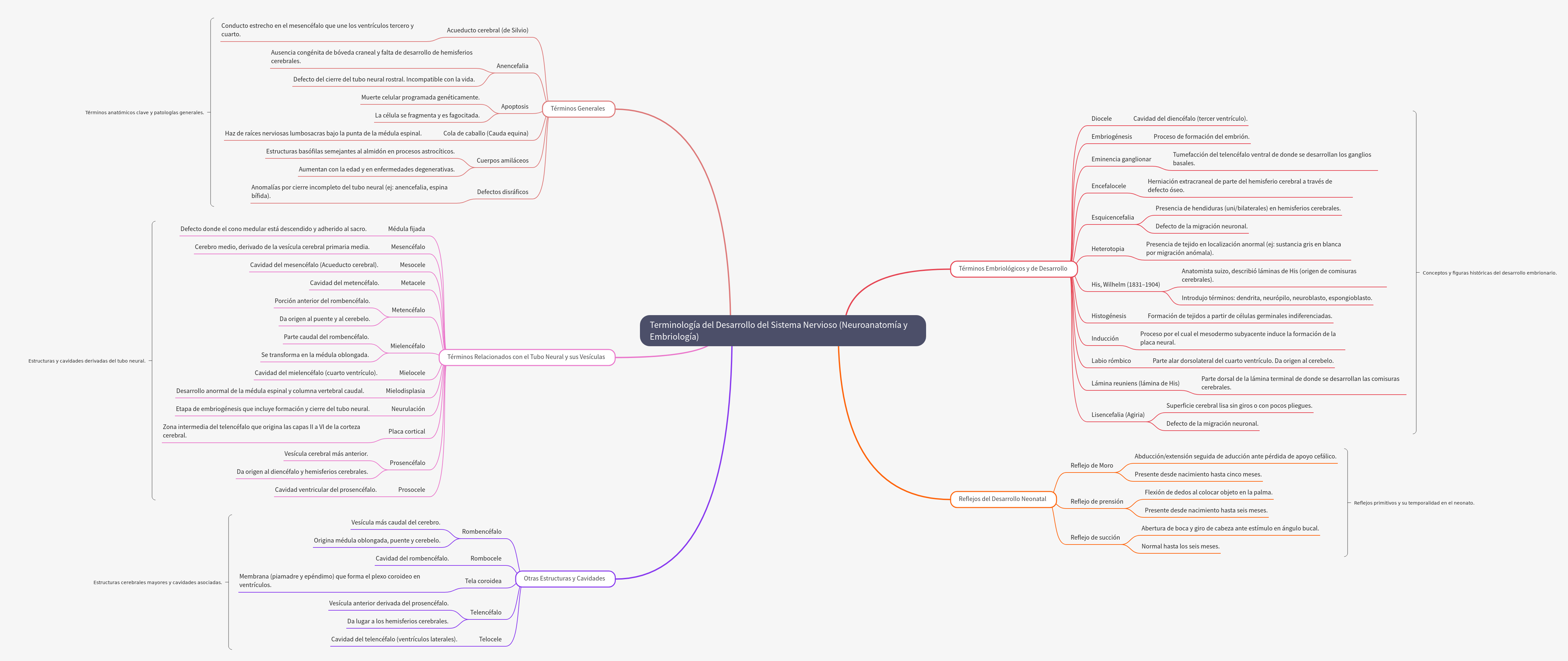 Key Terminology in Nervous System Development