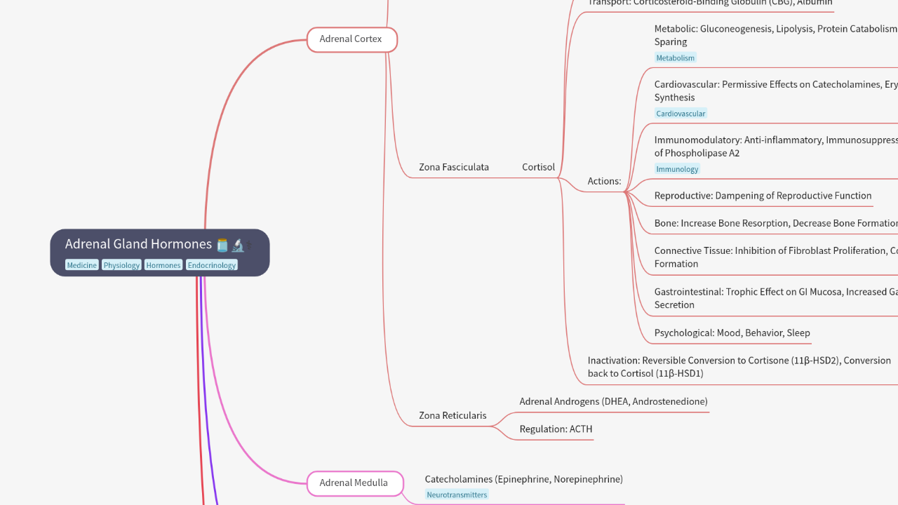 Mind Map:Adrenal Gland Hormones ...