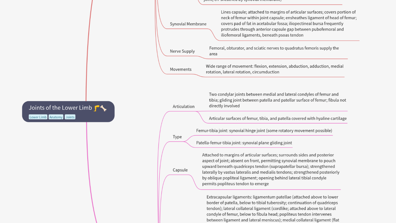 Mind Map:Joints of the Lower Limb ...