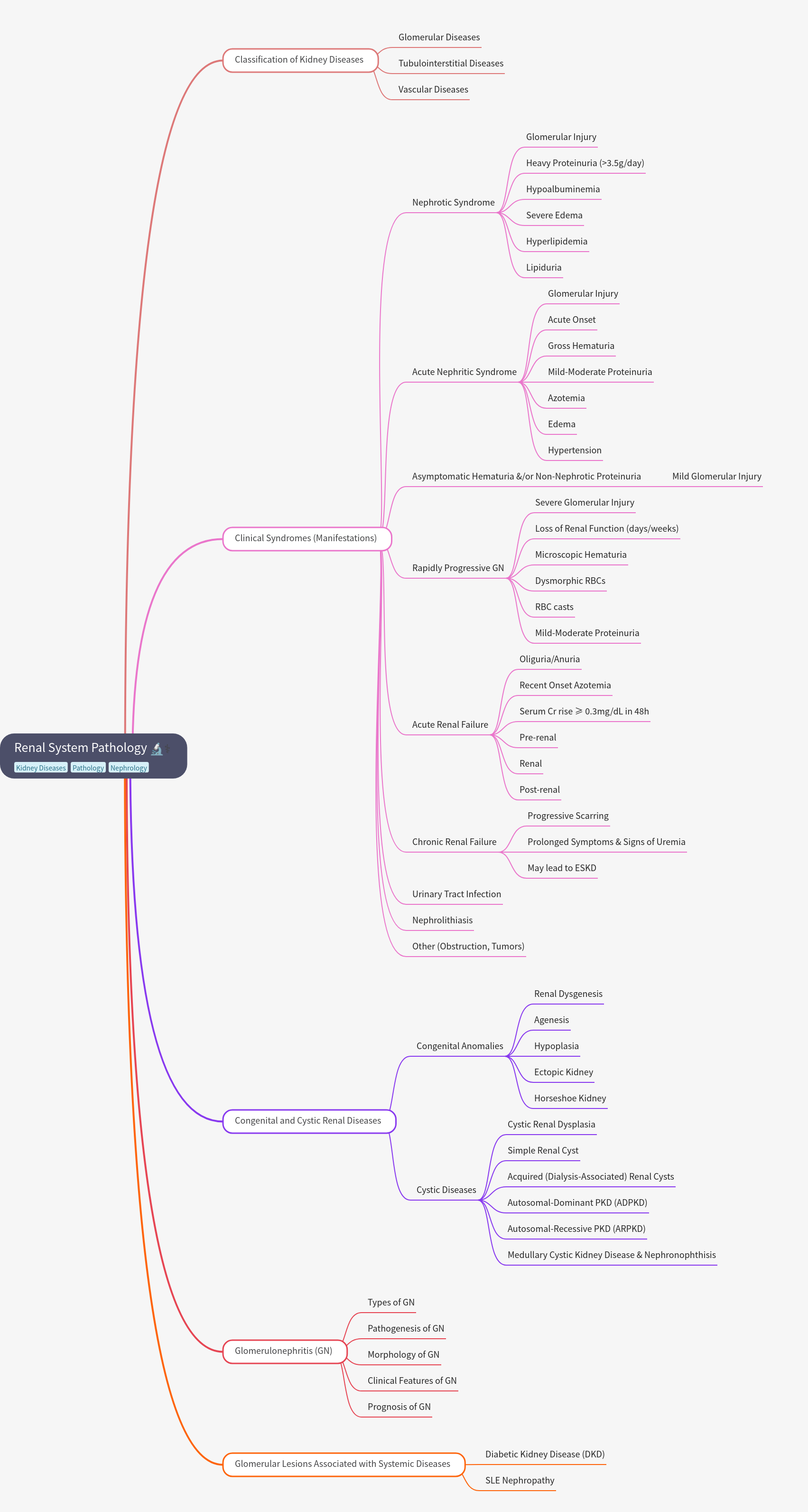 Renal System Pathology: Diseases & Syndromes