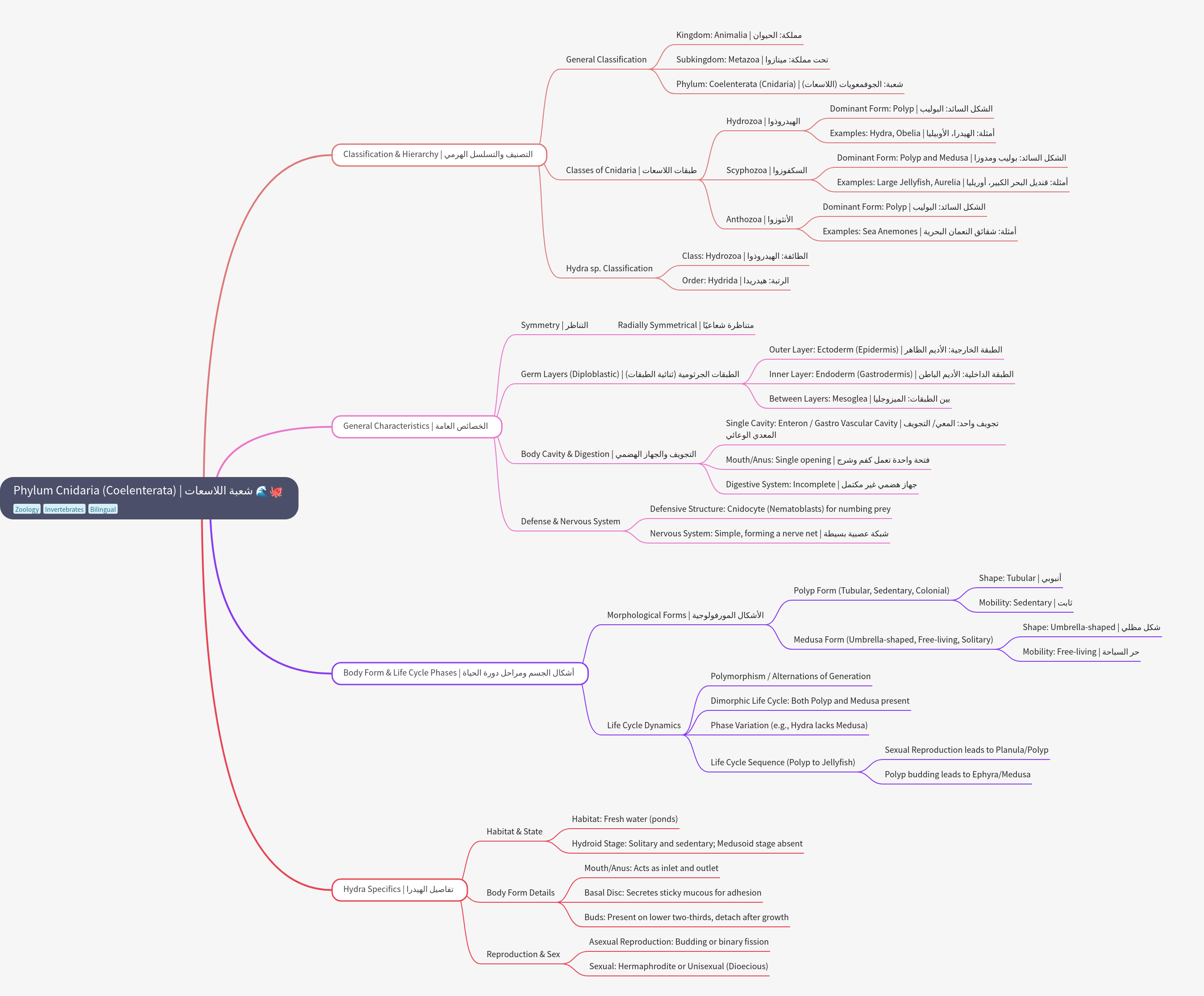 Phylum Cnidaria (Coelenterata): Classification and Biology