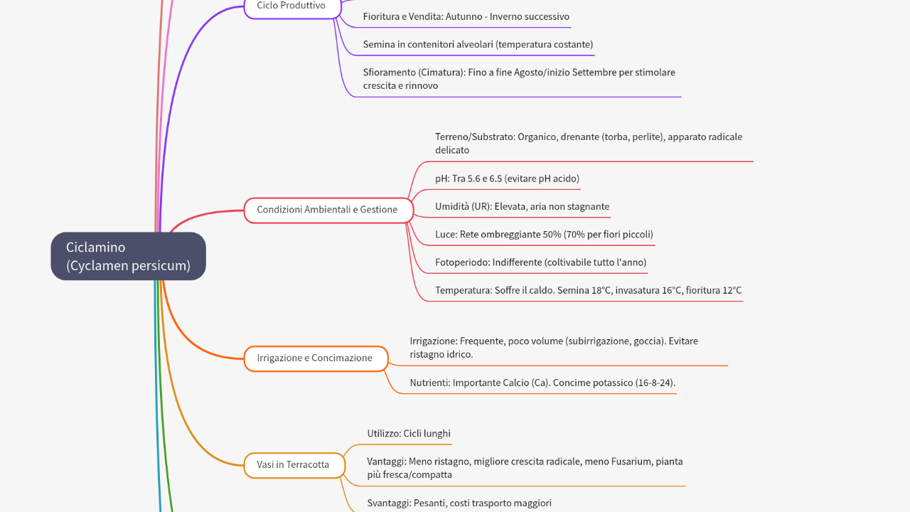 Mind Map:Ciclamino (Cyclamen persicum) ...