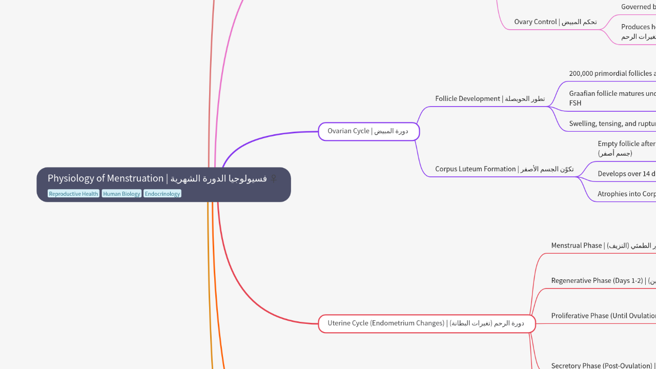 Mind Map:Physiology of Menstruation | فسيولوجيا الدورة الشهرية ...
