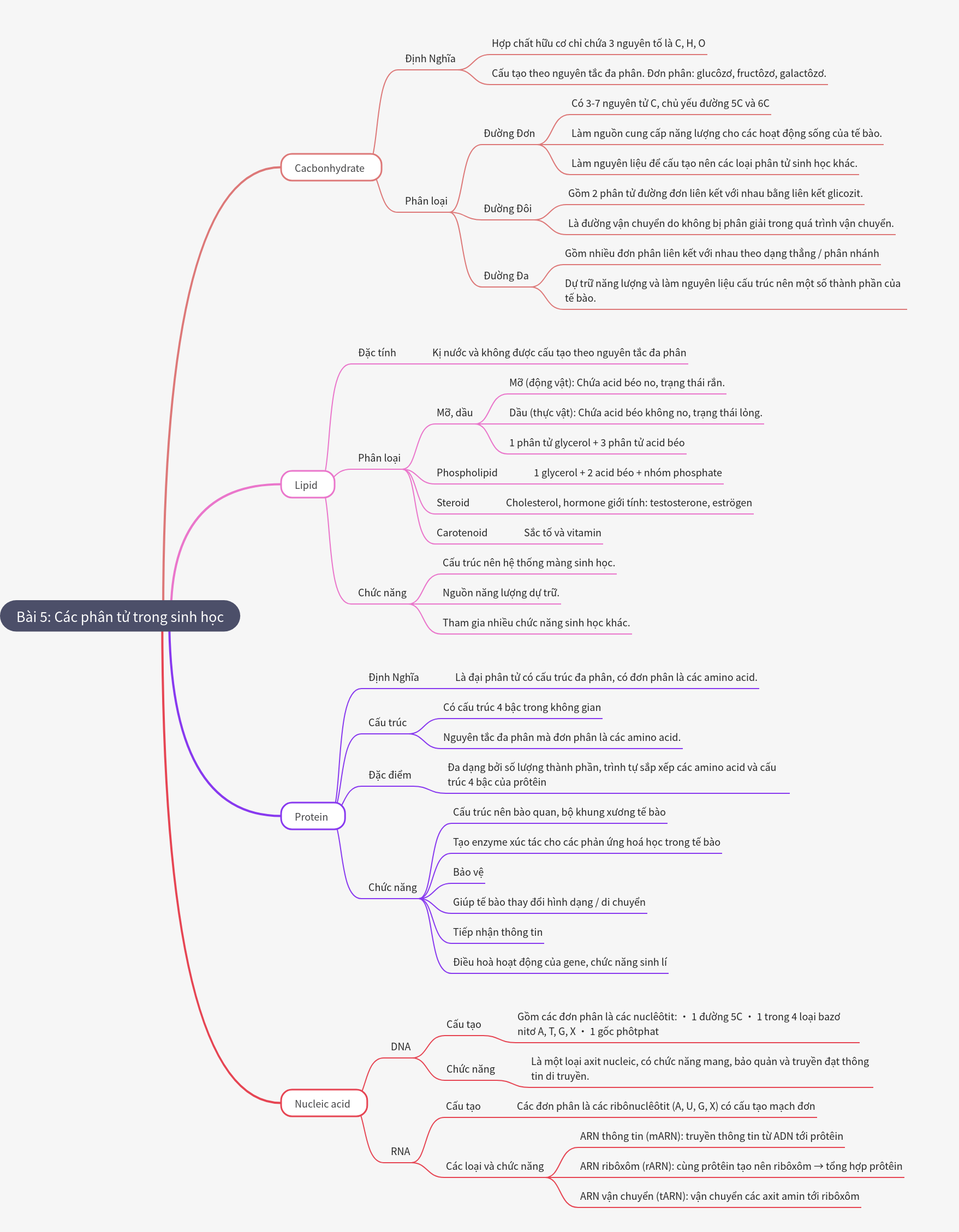 Biological Molecules: Structure, Function, Types