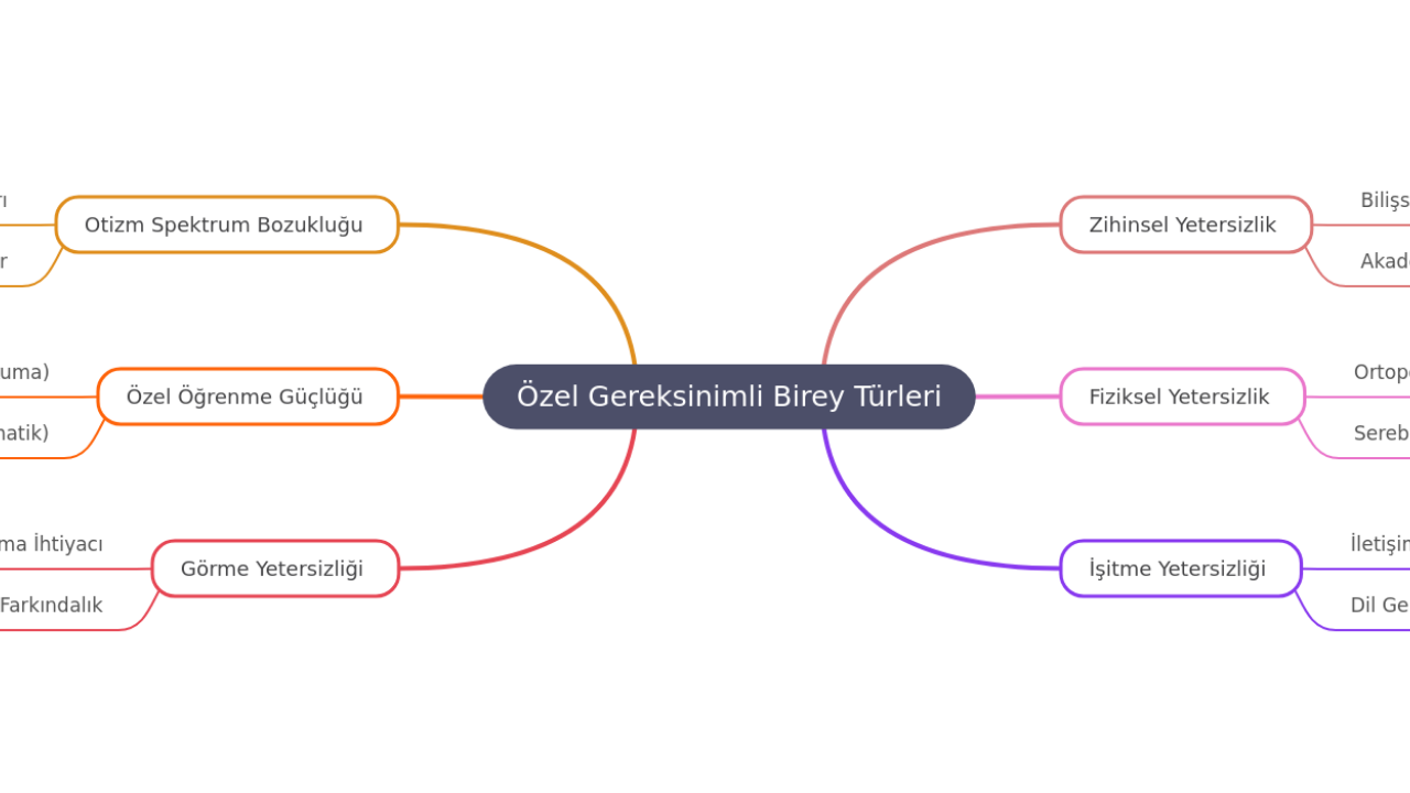 Özel Gereksinimli Birey Türleri