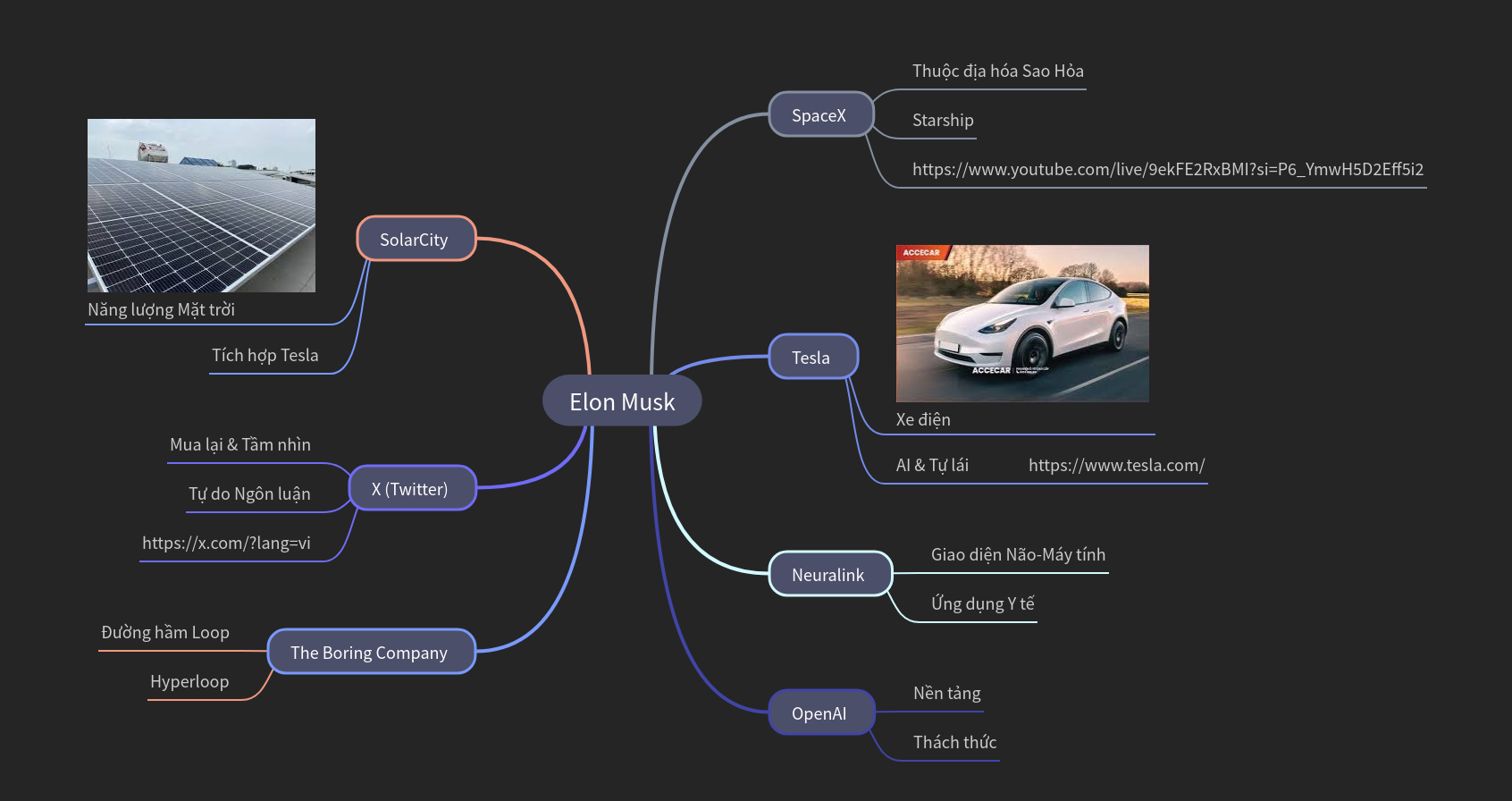 Elon Musk's Ventures and Innovations