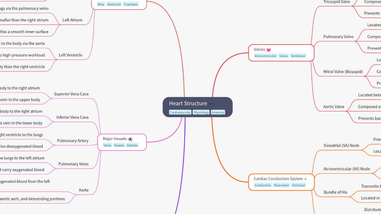 Mind Map:Heart Structure ...
