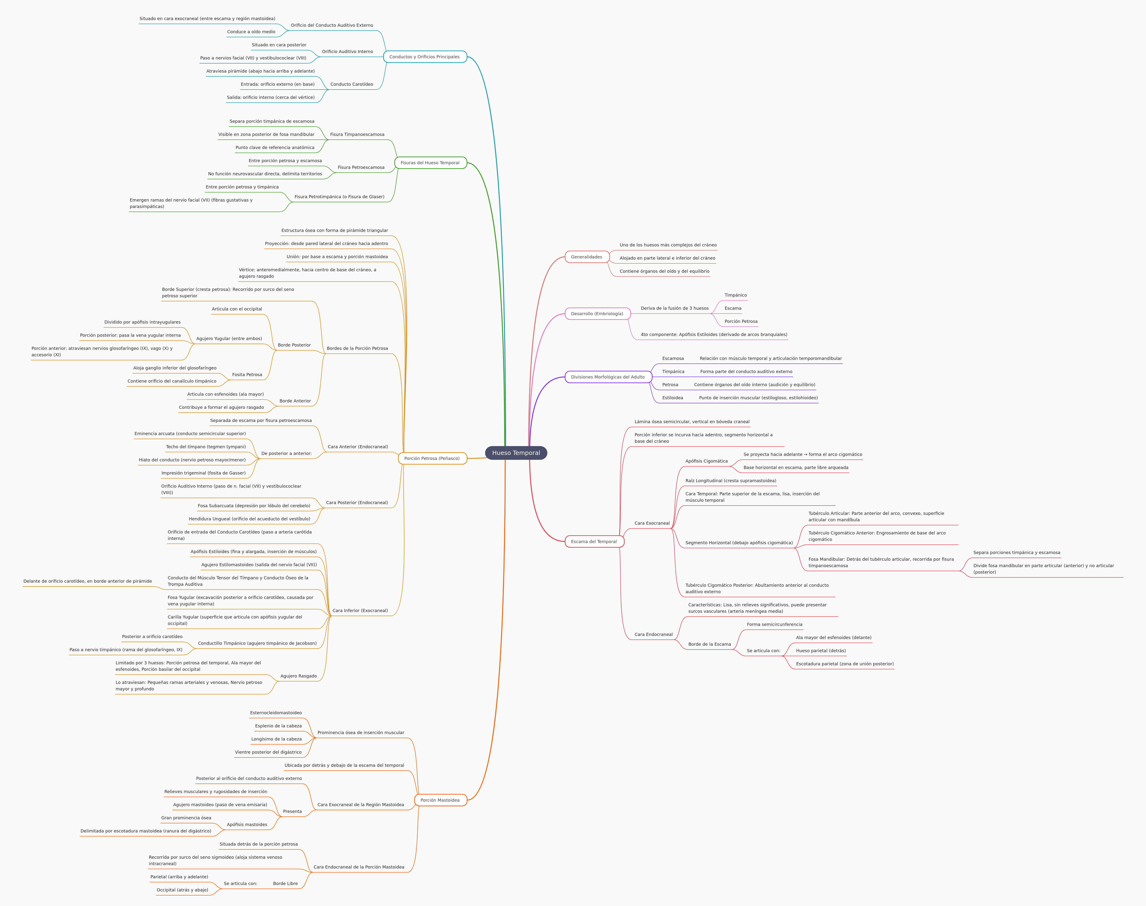 Temporal Bone Anatomy: A Detailed Guide