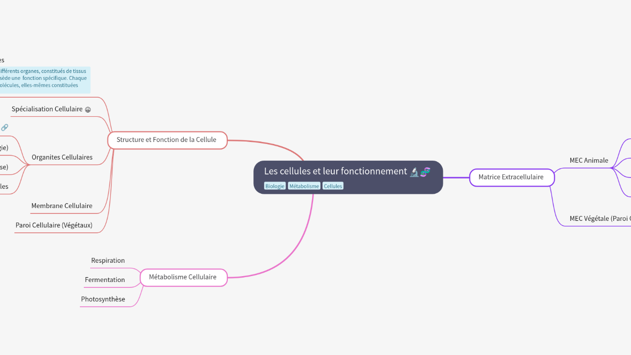 Mind Map:Les cellules et leur fonctionnement ...