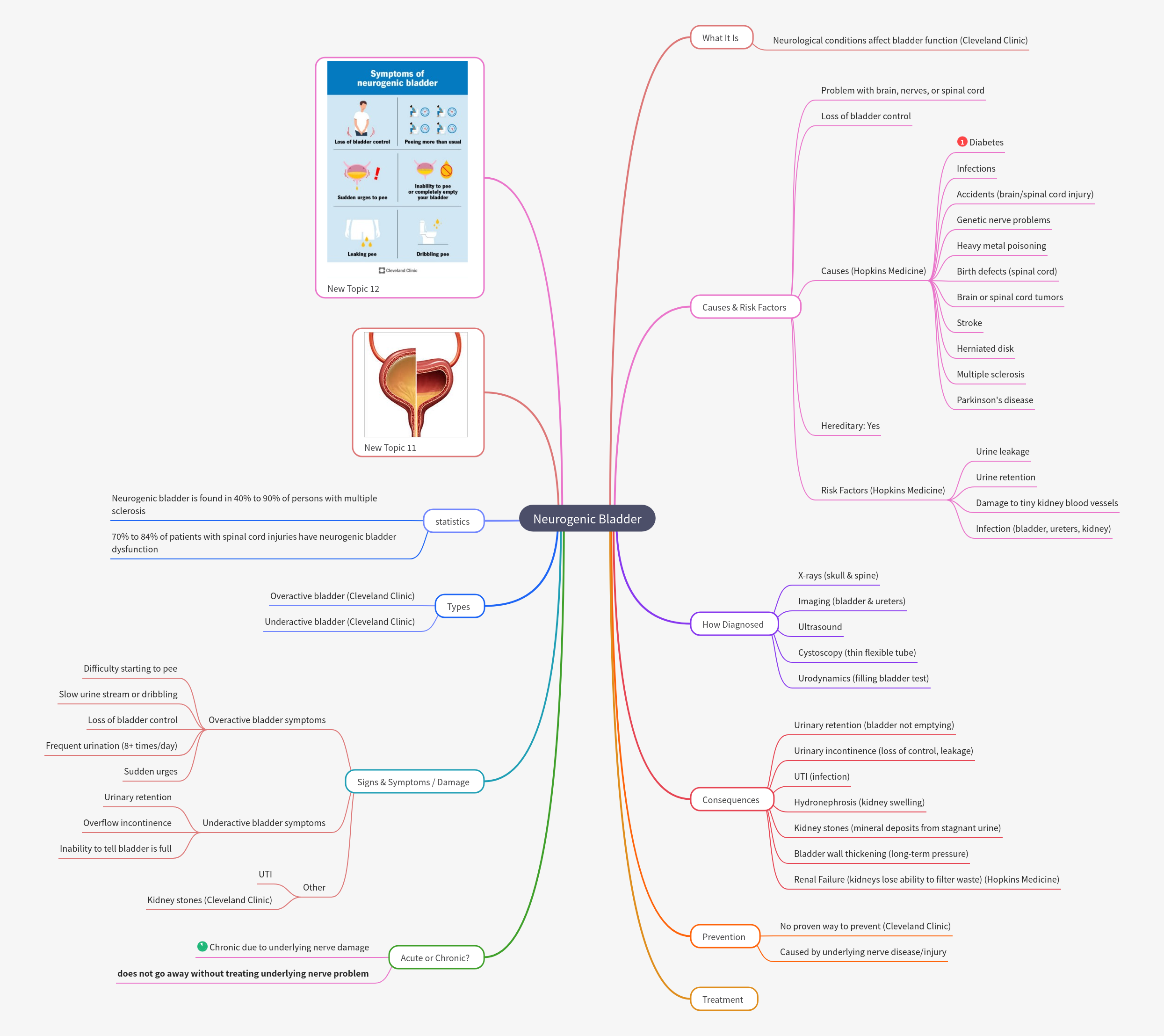 Neurogenic Bladder: Comprehensive Overview