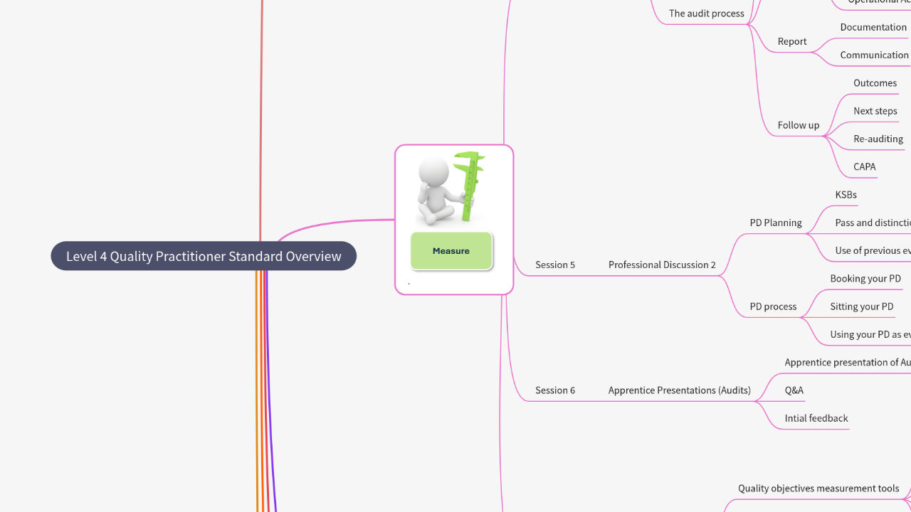 Mind Map:Level 4 Quality Practitioner Standard Overview ...