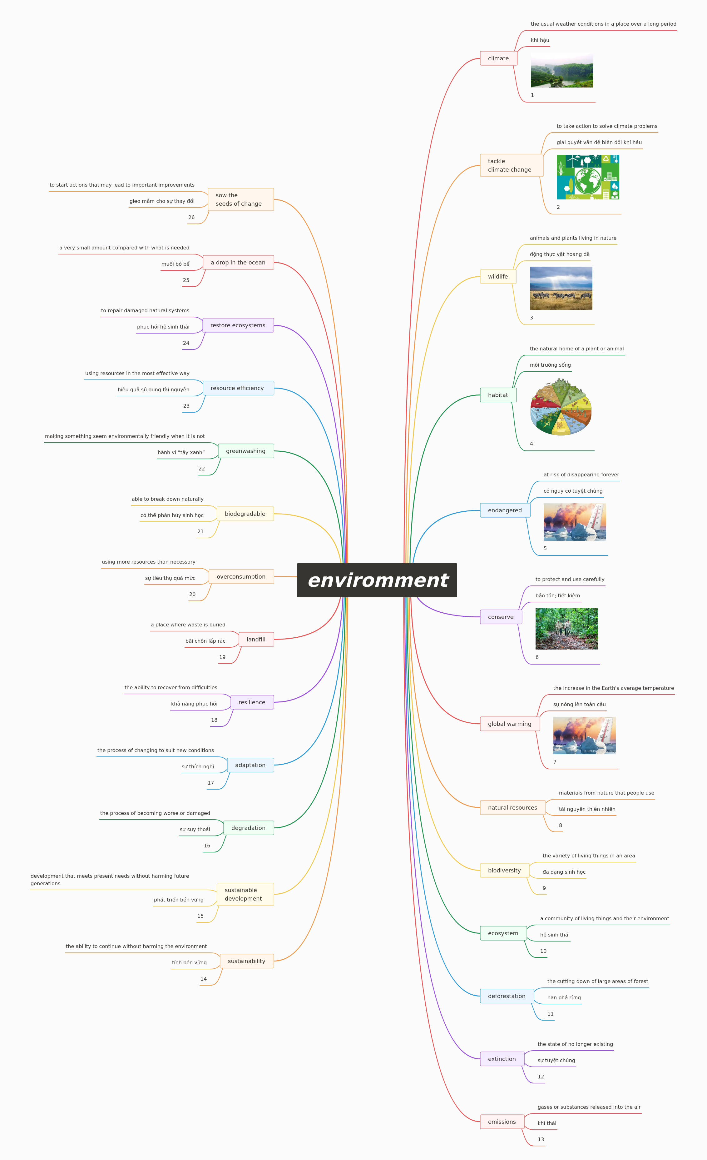 Understanding Key Environmental Concepts