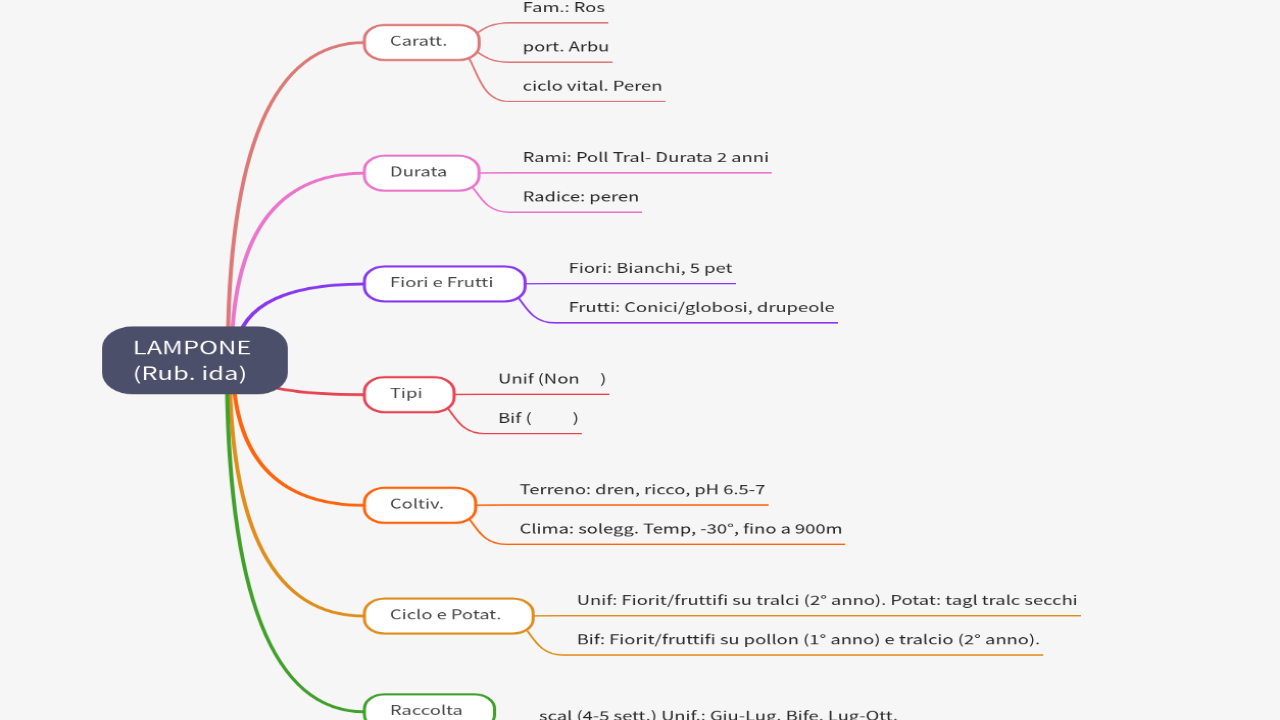 Mind Map:LAMPONE (Rub. ida) ...