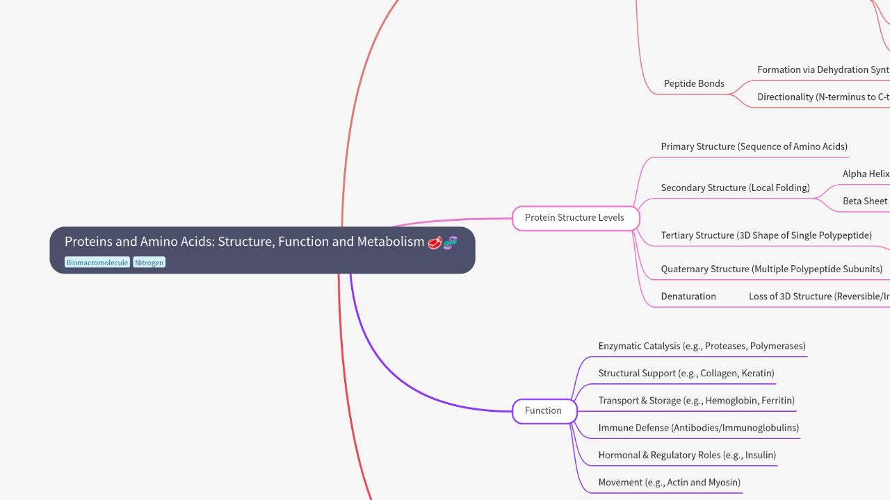Mind Map:Proteins and Amino Acids: Structure, Function and Metabolism ...
