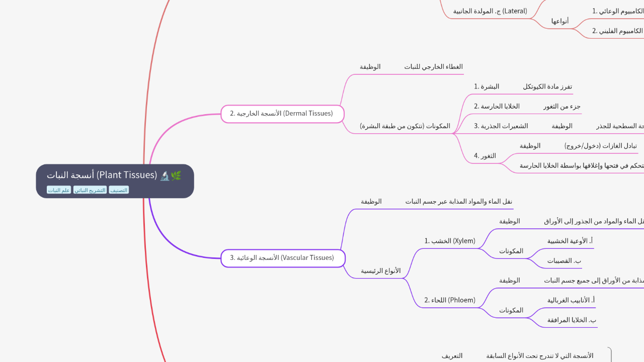 Mind Map:أنسجة النبات (Plant Tissues) ...