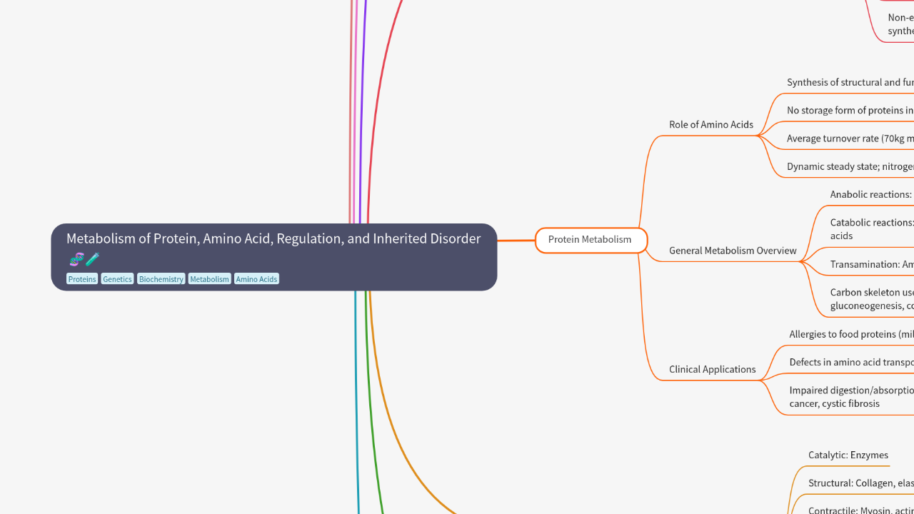 Mind Map:Metabolism of Protein, Amino Acid, Regulation, and Inherited Disorder ...
