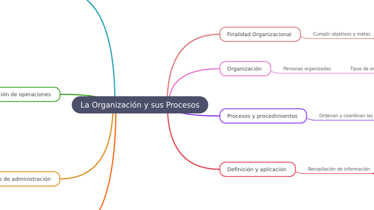 La Organización y sus Procesos