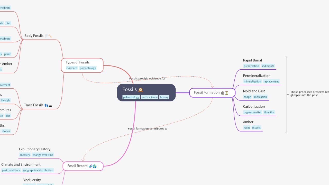 Mind Map:Fossils ...